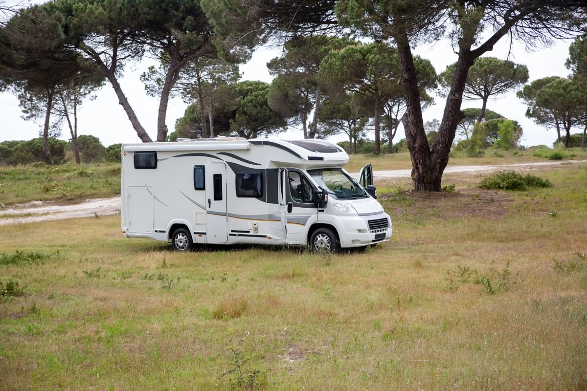 Large coachbuilt motorhome with an over-cab bed, parked among pine trees
